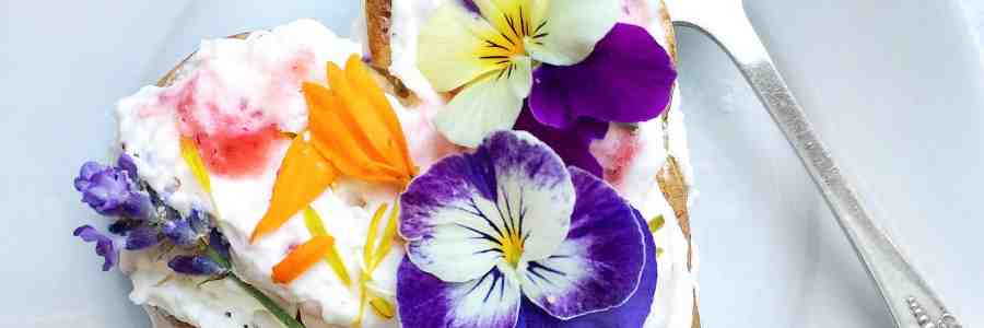 5 Edible Flowers You Can Find In Your Back Yard
