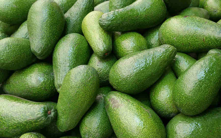 Avocados can be expensive in comparison to other fruits and vegetables